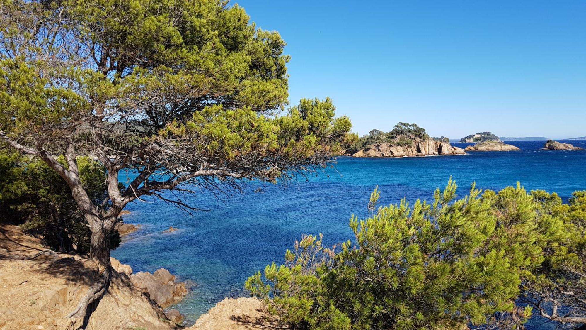 Rez De Jardin T3 Recent Et Calme Au Nouvelles Terres A La Londe Les Maures Daire Dış mekan fotoğraf