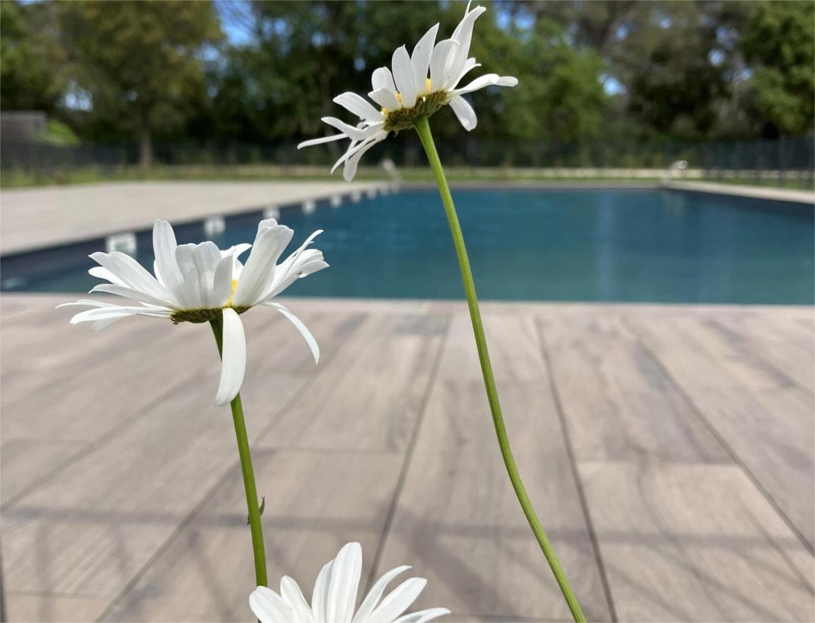 Rez De Jardin T3 Recent Et Calme Au Nouvelles Terres A La Londe Les Maures Daire Dış mekan fotoğraf